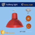 Fleisch lites Licht 10w 15w 20w LED frische Lampe